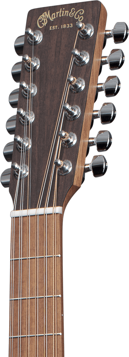 Guitare électrique 12 Cordes