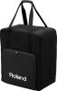 Roland CBTDP CARRY CASE TD4